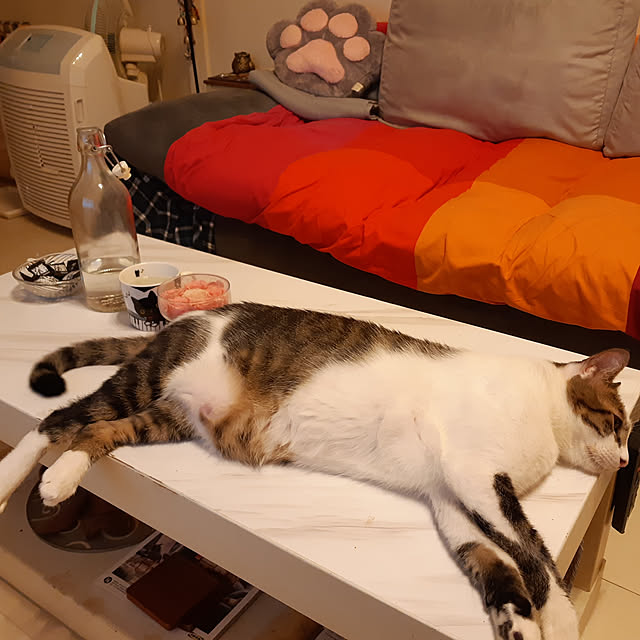 CinqinTWさんの実例写真