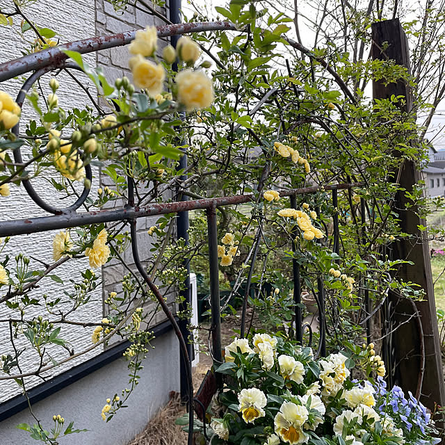 natsumiさんの部屋