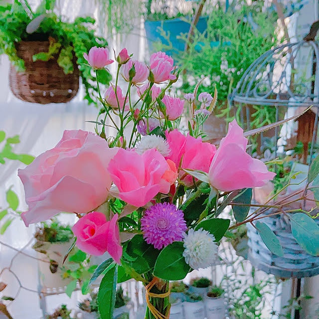 Hanakaさんの部屋