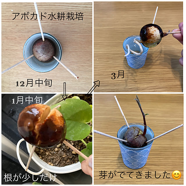 akezouさんの実例写真