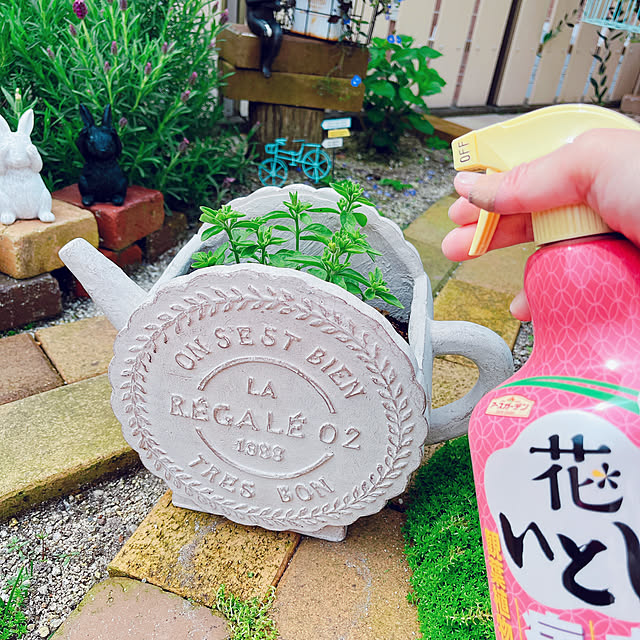 moolさんの部屋