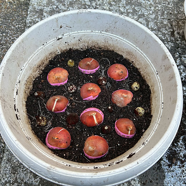 fumikoiさんの部屋