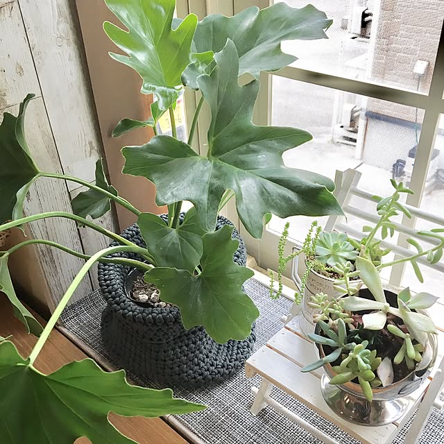 Poaluさんの実例写真