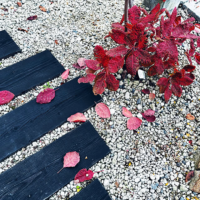 usagiさんの部屋