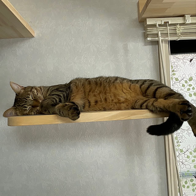 hiroさんの実例写真