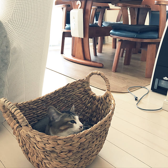 nekomiさんの実例写真