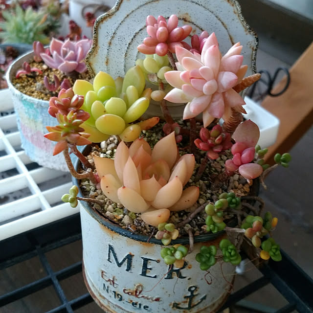 mymさんの実例写真