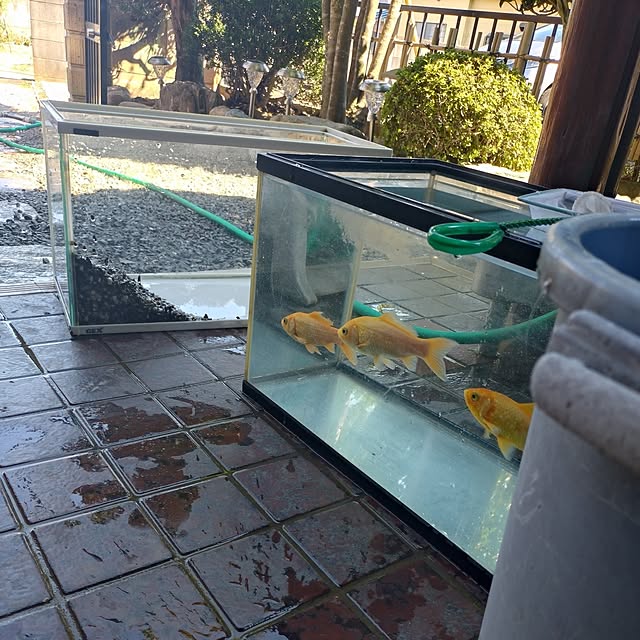 NOAHさんの部屋