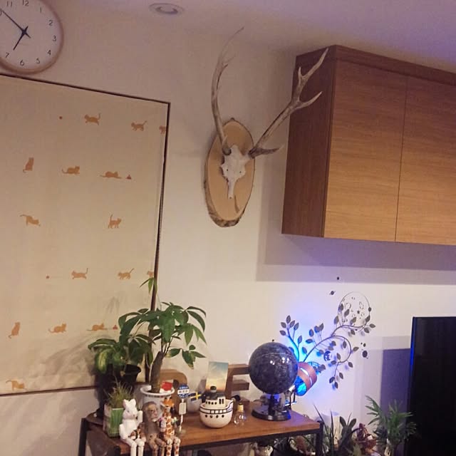 botanさんの実例写真