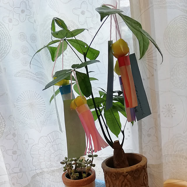chibimanaさんの実例写真