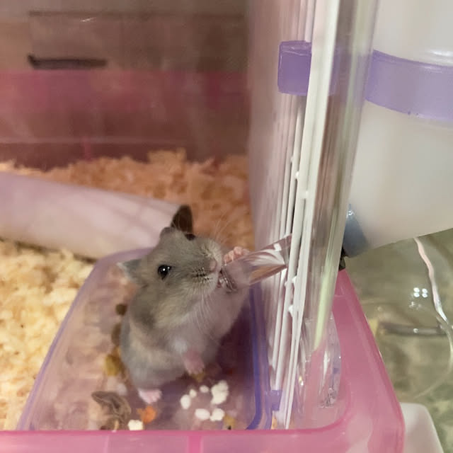 milkさんの実例写真
