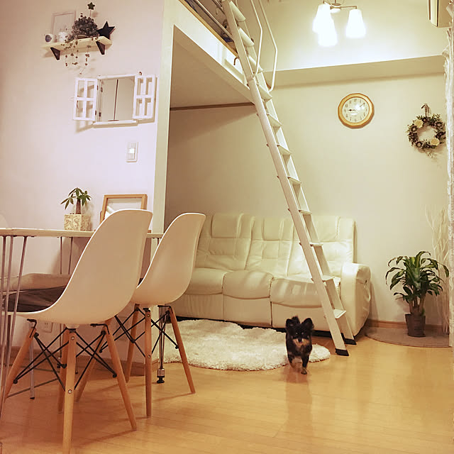 cocoさんの実例写真