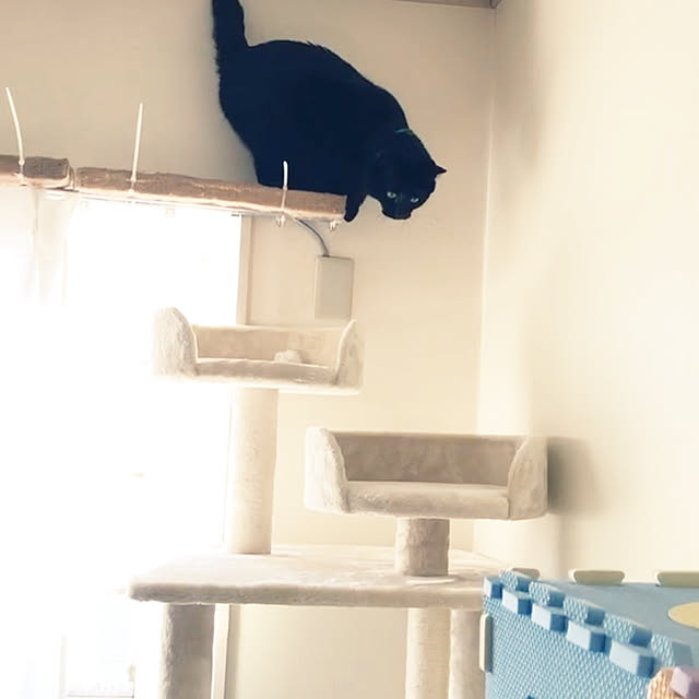 nyaさんの部屋