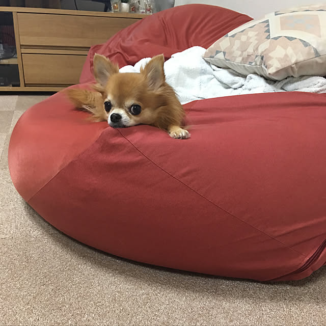 koroさんの部屋