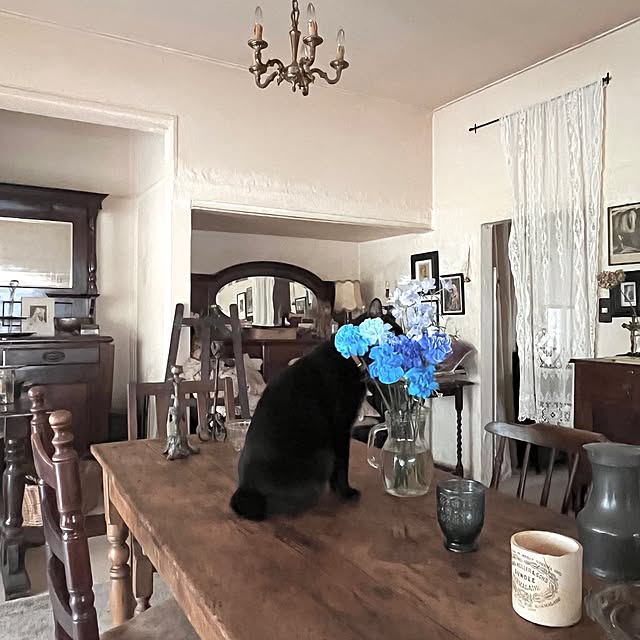 ataさんの実例写真