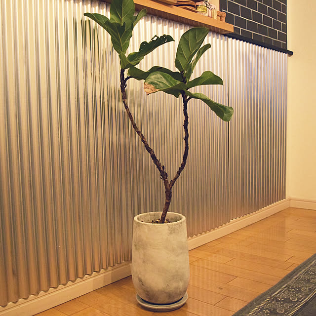 Kanaco._さんの実例写真