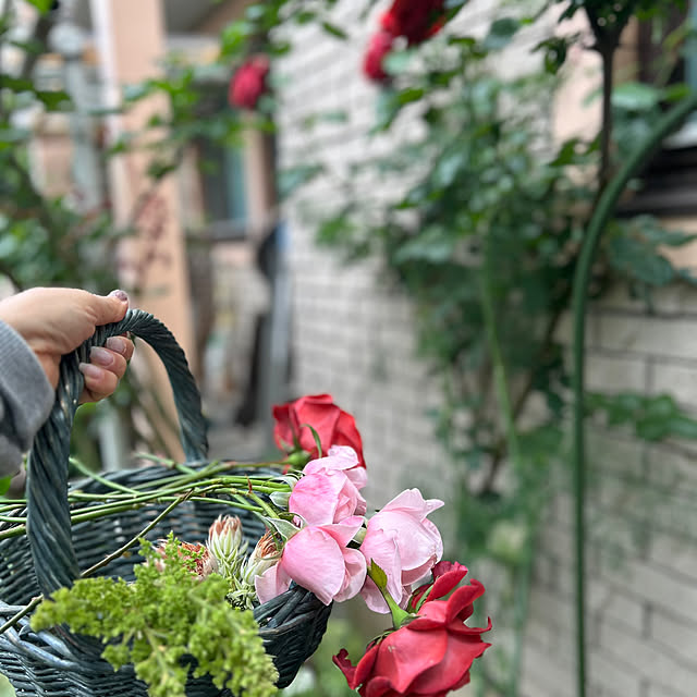botanさんの部屋