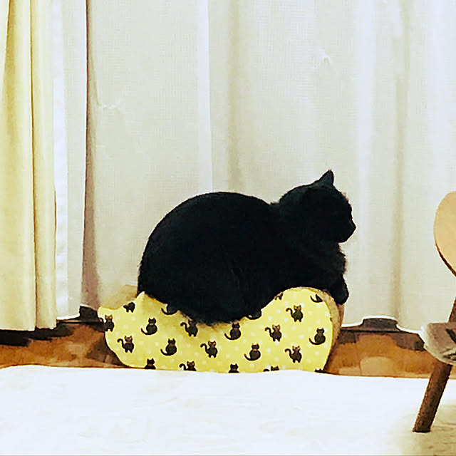 minamiさんの実例写真