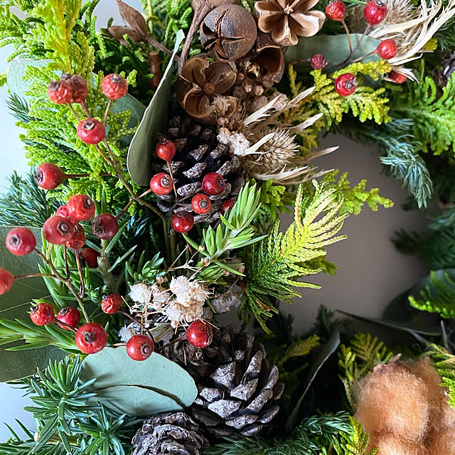 玄関/入り口/ハンドメイド/フレッシュリース/クリスマス準備/クリスマス雑貨...などのインテリア実例 - 2023-11-23 23:55:41