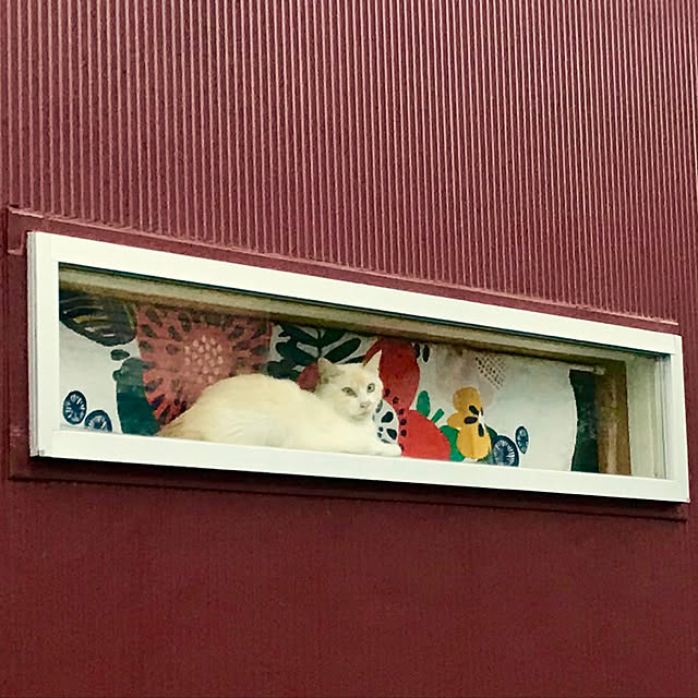 sakurasakuさんの実例写真