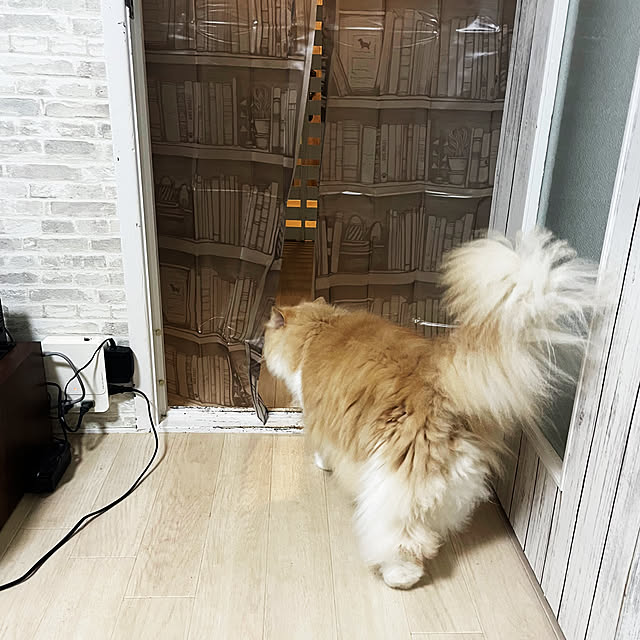yuuchoさんの部屋