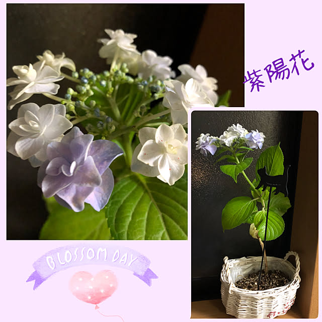 CoffeeHouseさんの実例写真