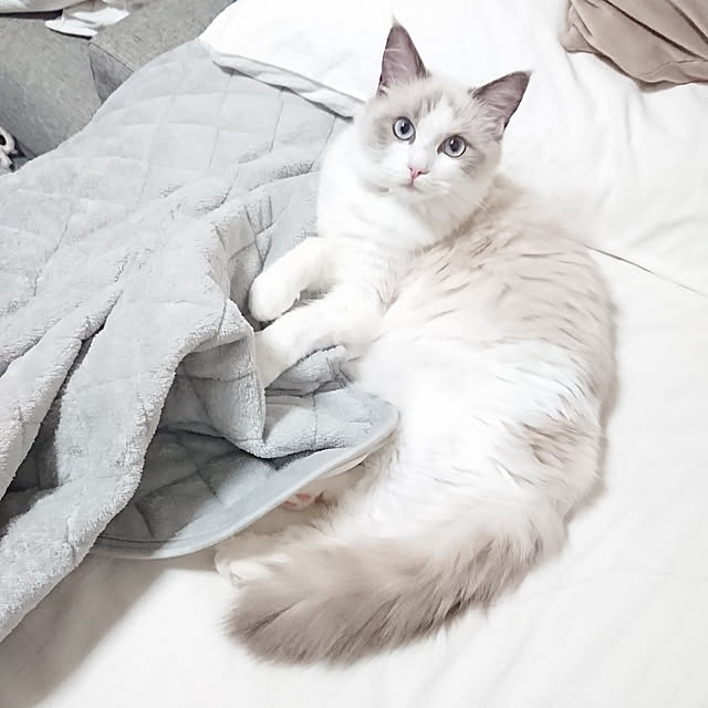 sumishouseさんの実例写真