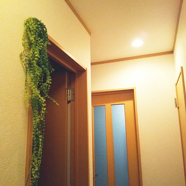 Masamiさんの実例写真
