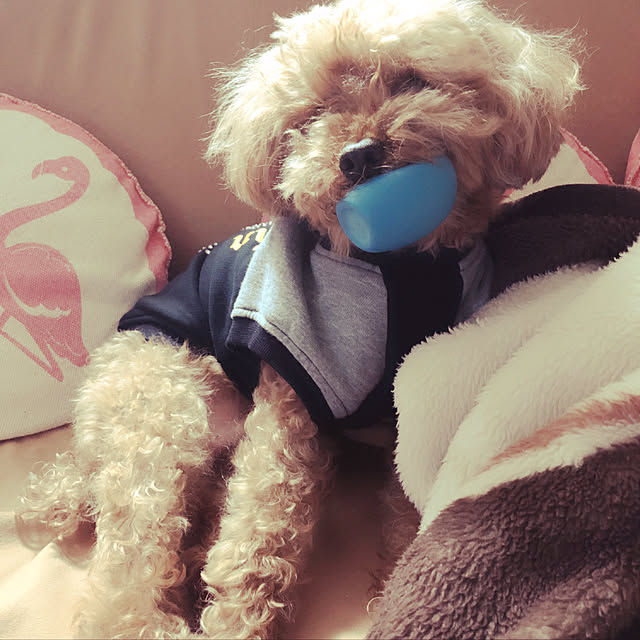 eriharuさんの実例写真