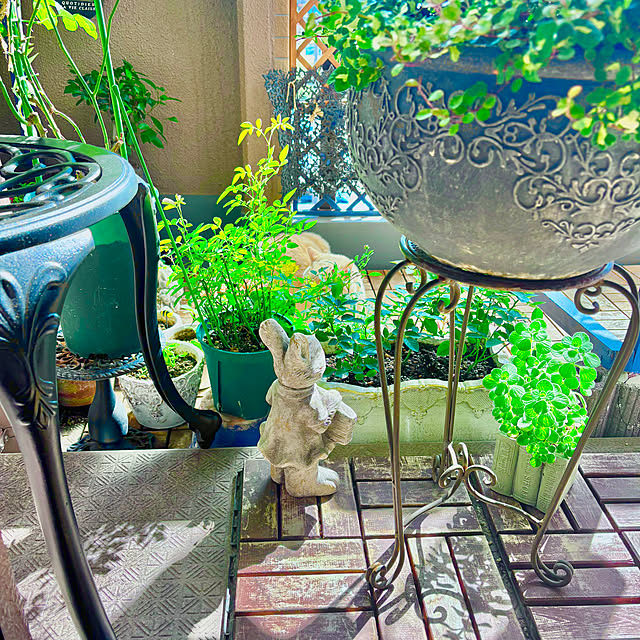 naokoさんの部屋