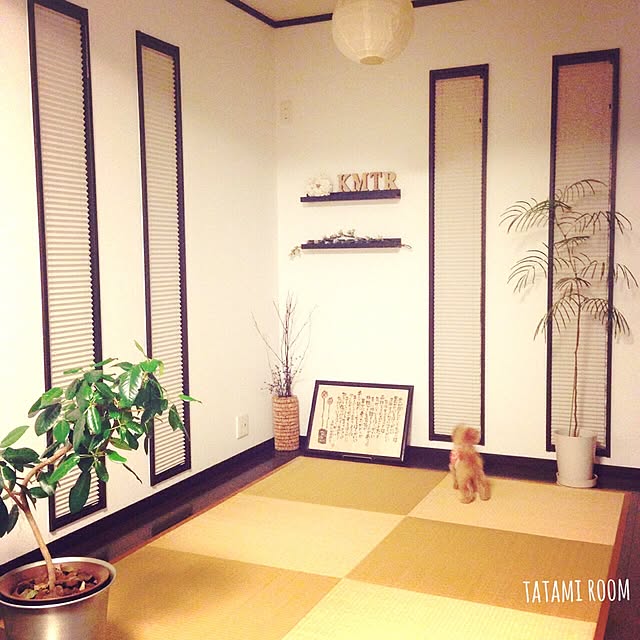 risaさんの実例写真