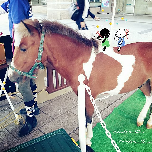 moco-mocoさんの実例写真