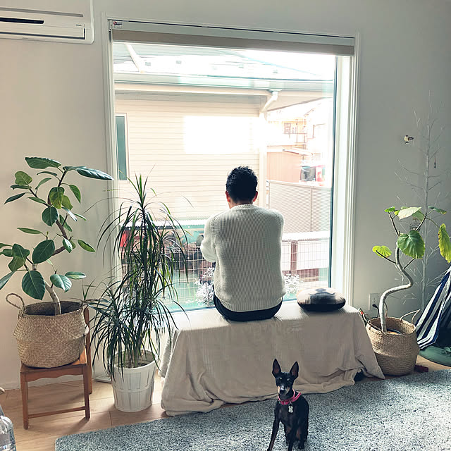 jolisukeさんの実例写真