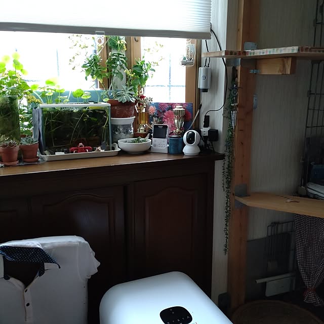 mntcさんの実例写真