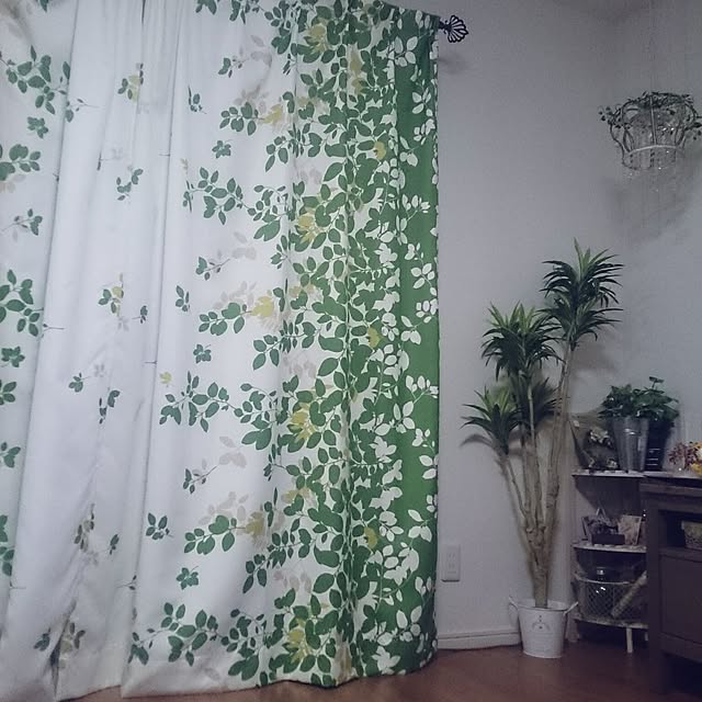 hoshiさんの実例写真