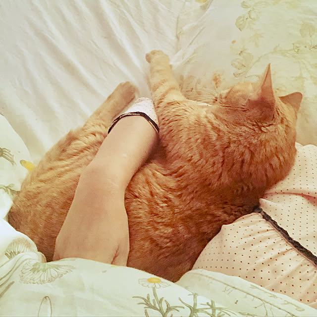 yuko25さんの実例写真