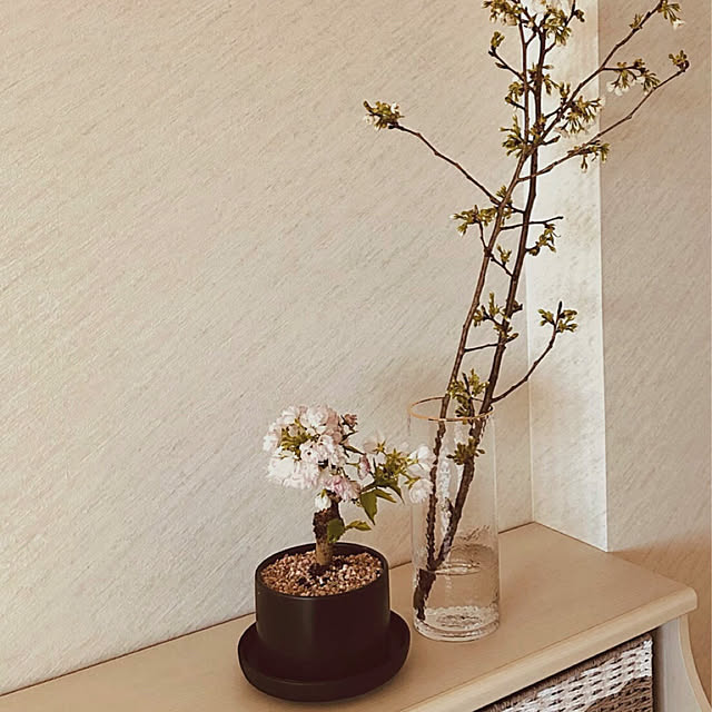 棚/観葉植物のインテリア実例 - 2024-03-29 10:19:31
