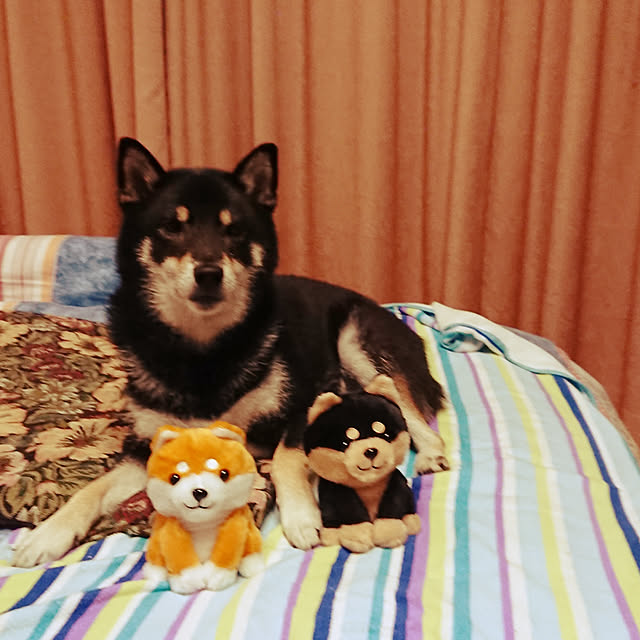 tsutawarimasuさんの実例写真