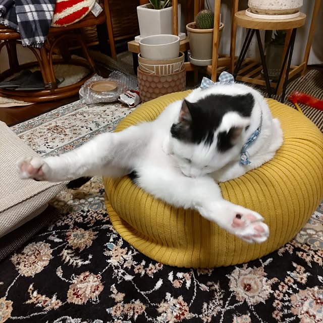 yuuさんの部屋