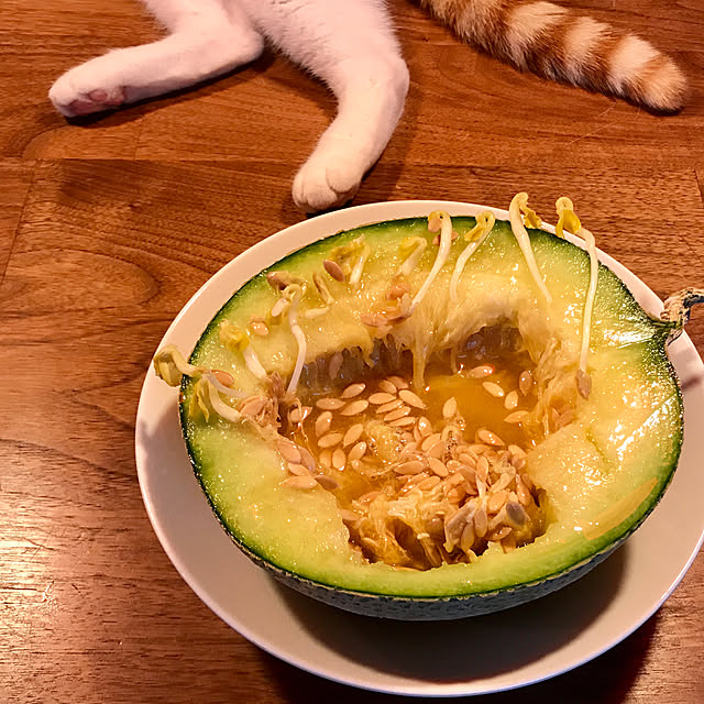 sakurasakuさんの実例写真