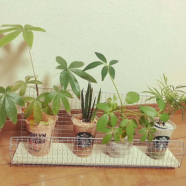 aohanaさんの実例写真