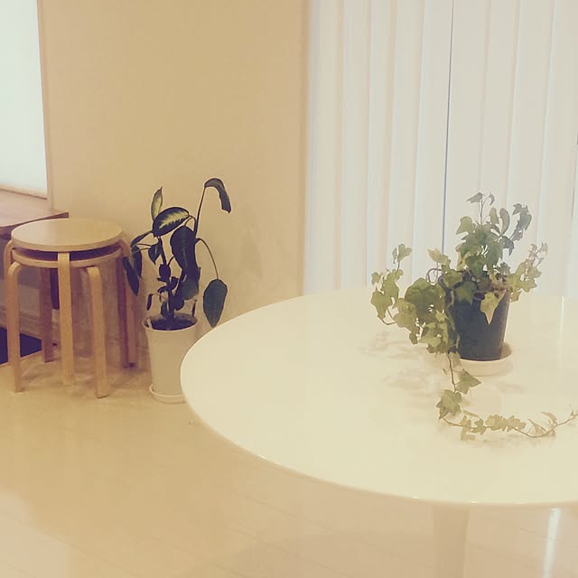 s.のプレジャー-チューリップテーブル 直径90cm/ホワイト　white/エーロ・サーリネン作/新品　tuliptable Eero Saarinen ちゅーりっぷテーブル　パーソナルテーブル　サイドテーブル　ダイニングテーブル　デザイナーズ　リプロダクト　TABLE　白　送料込みの家具・インテリア写真