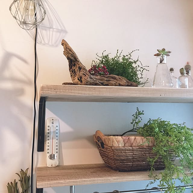 mariさんの実例写真