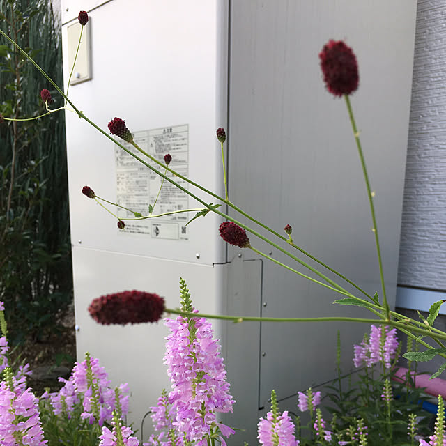 hirokoさんの実例写真