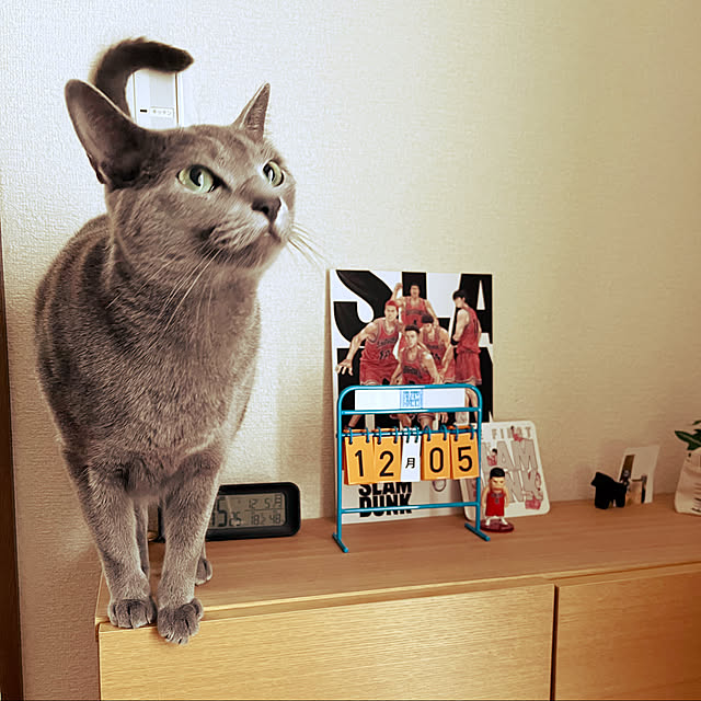 kyonさんの実例写真