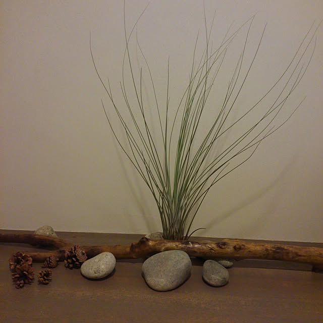 102さんの実例写真