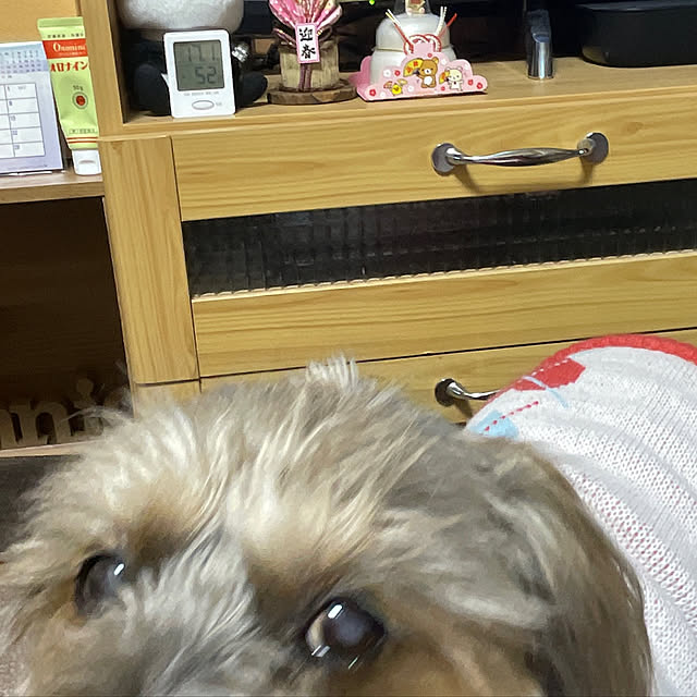 Annieさんの実例写真