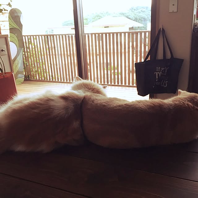 maruさんの実例写真