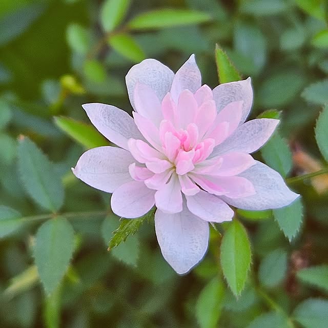 mocomocoさんの部屋