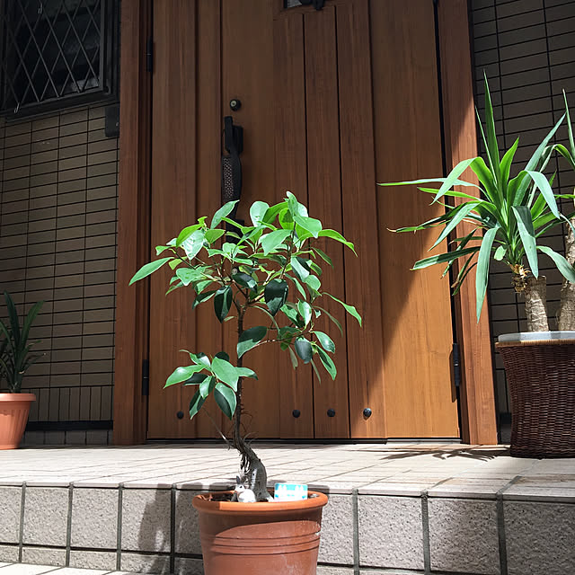 puriyuzuさんの実例写真